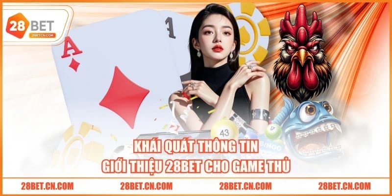 Khái quát thông tin giới thiệu 28BET cho game thủ